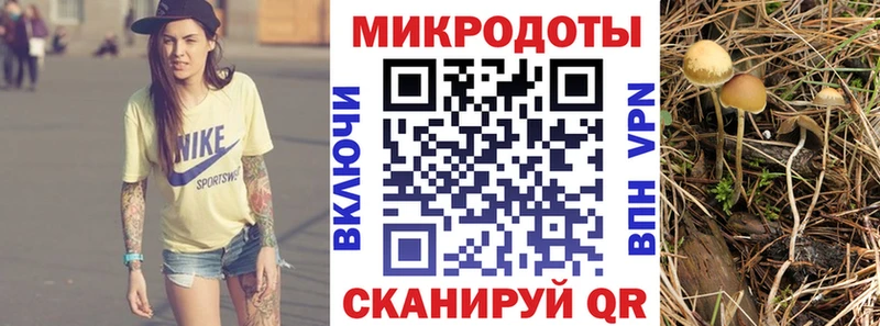 Псилоцибиновые грибы MAGIC MUSHROOMS  Шадринск 